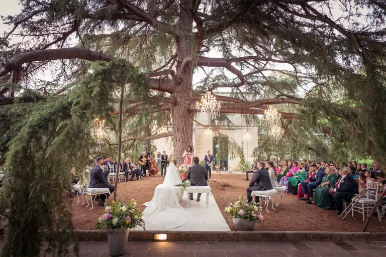 matrimonio con rito civile sotto il cedro a Tenuta Lucagiovanni